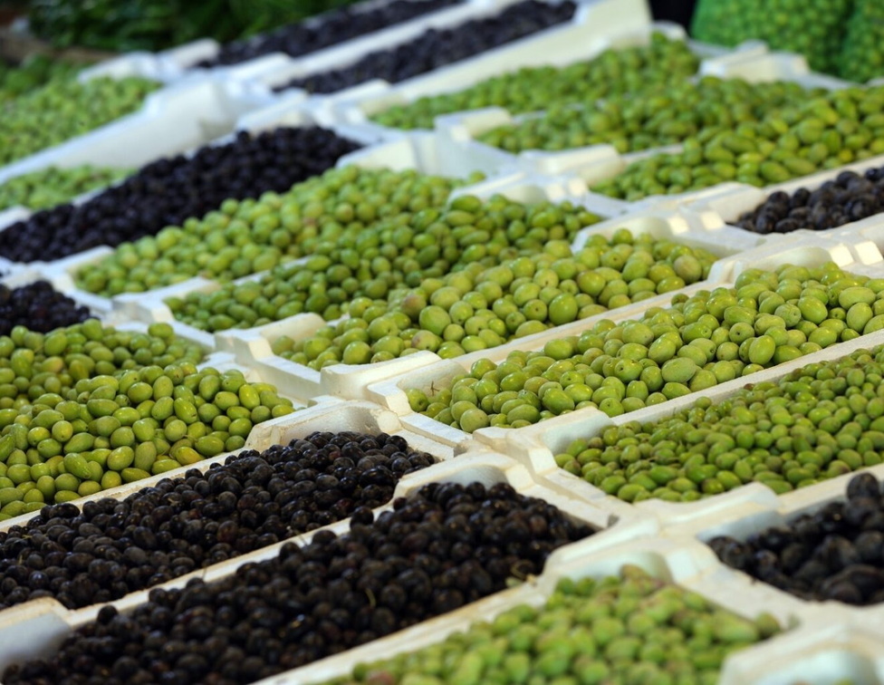 Jordan National Olive Festival