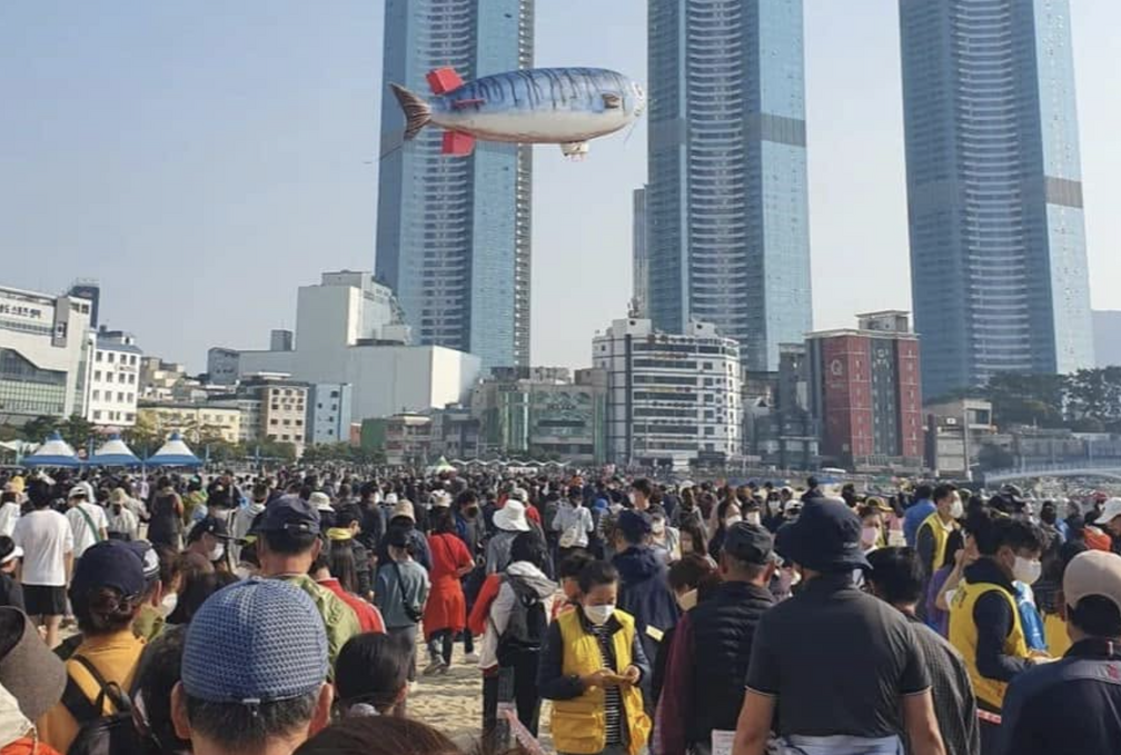 Busan Mackerel Festival