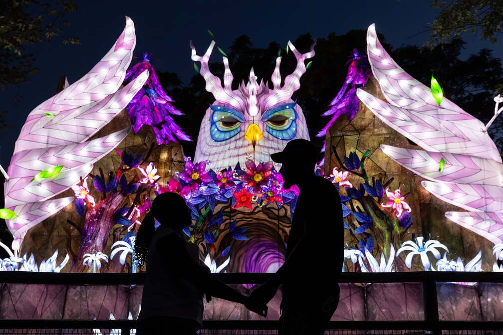 Boston Lights: A Lantern Experience