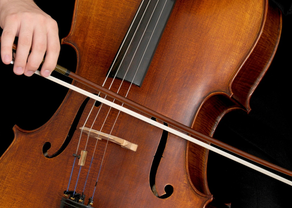 Early Music Days