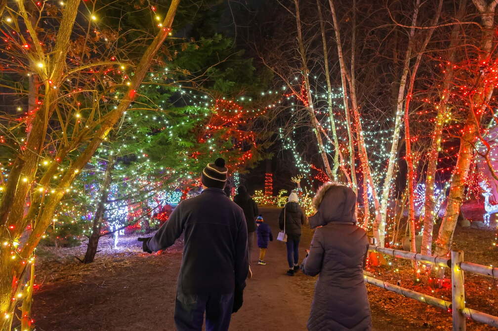 Holiday Lights Spectacular