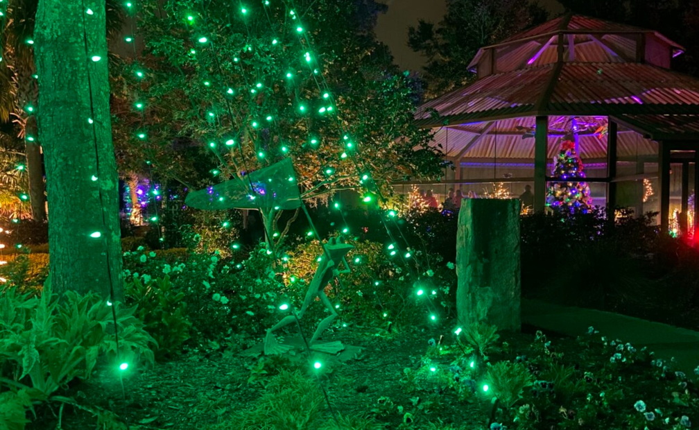 Enchanted Airlie