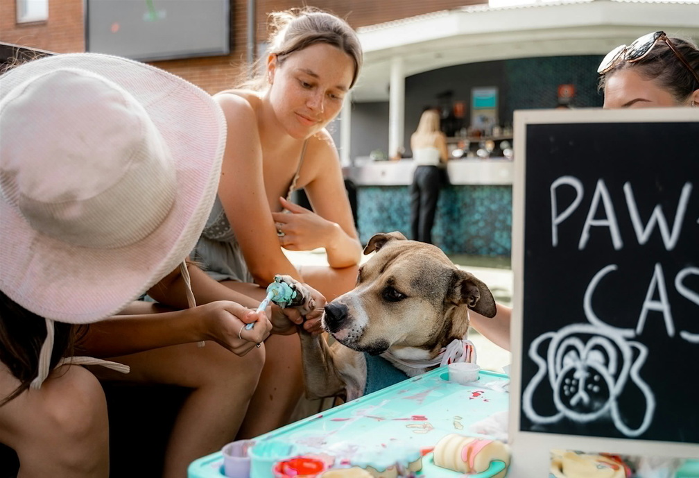 Pound Paws Dog Day