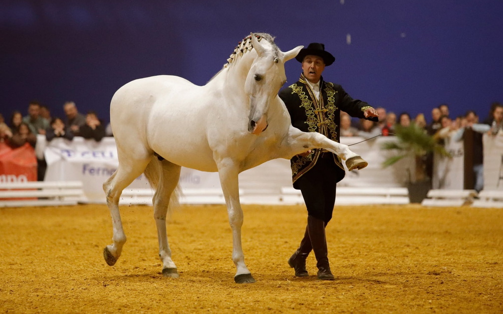 SICAB: International Purebred Spanish Horse Show