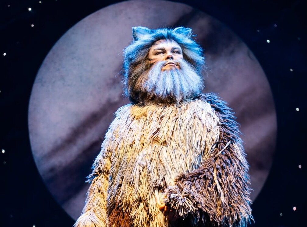 Cats the Musical