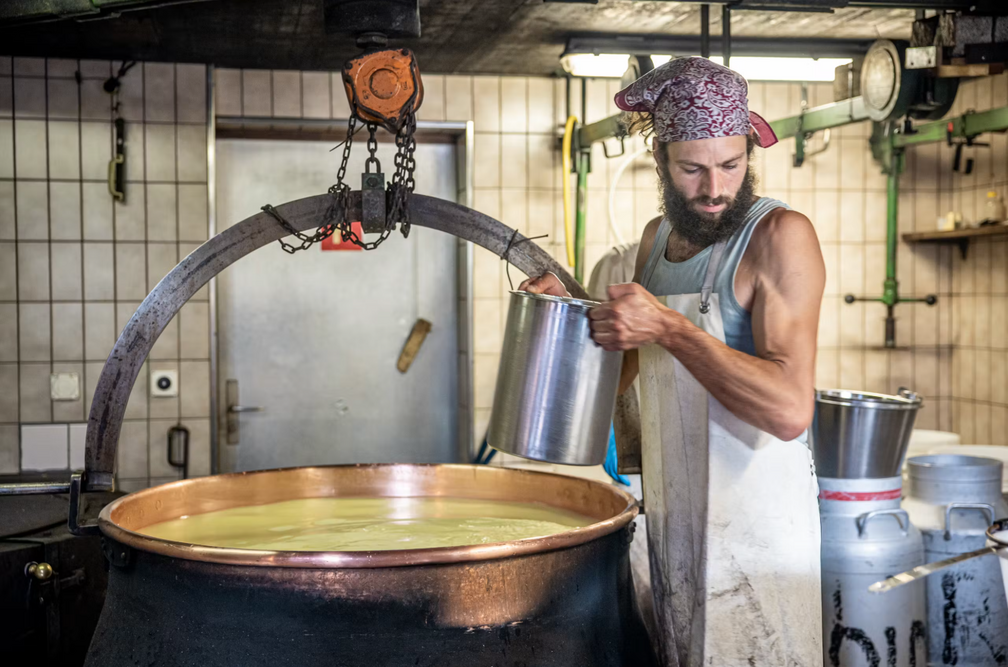Alpine Cheese Dairy Visit with Breakfast