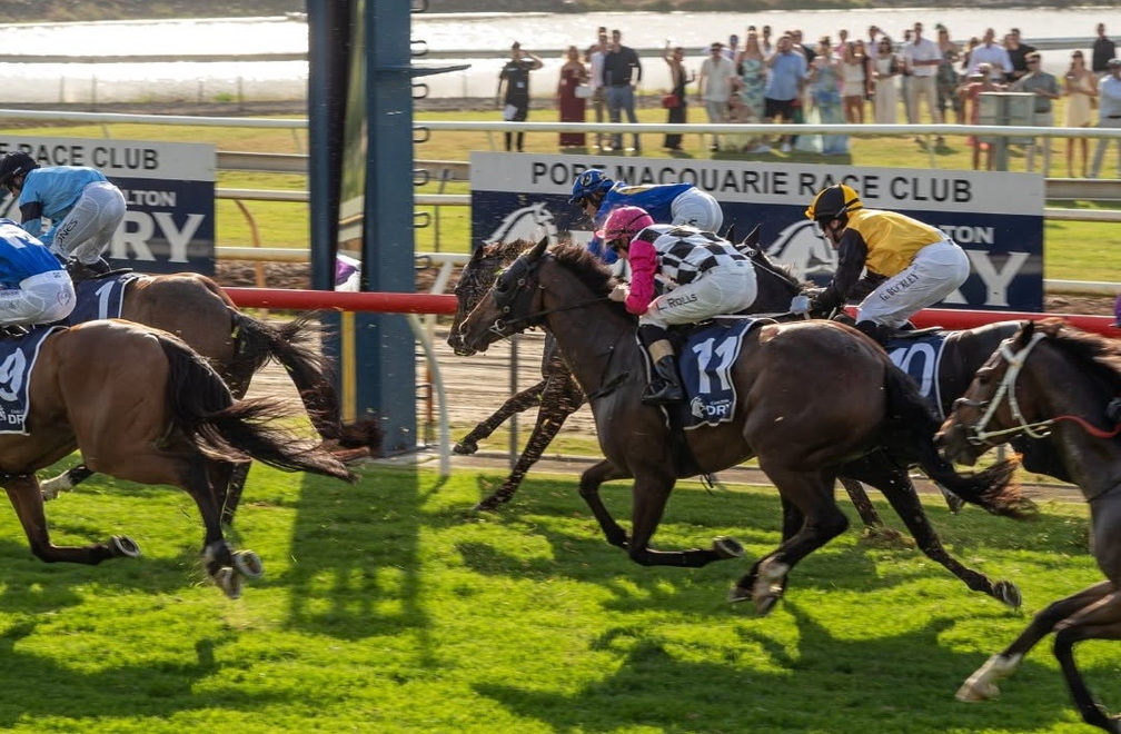 Port Macquarie Cup