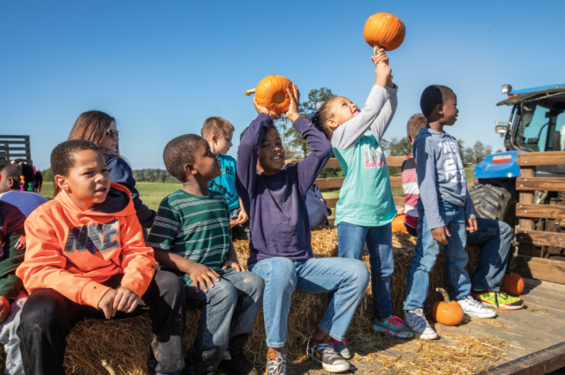 Portland Fall Festival