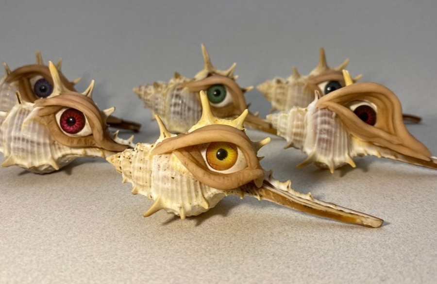 Brisbane Oddities and Curiosities Expo
