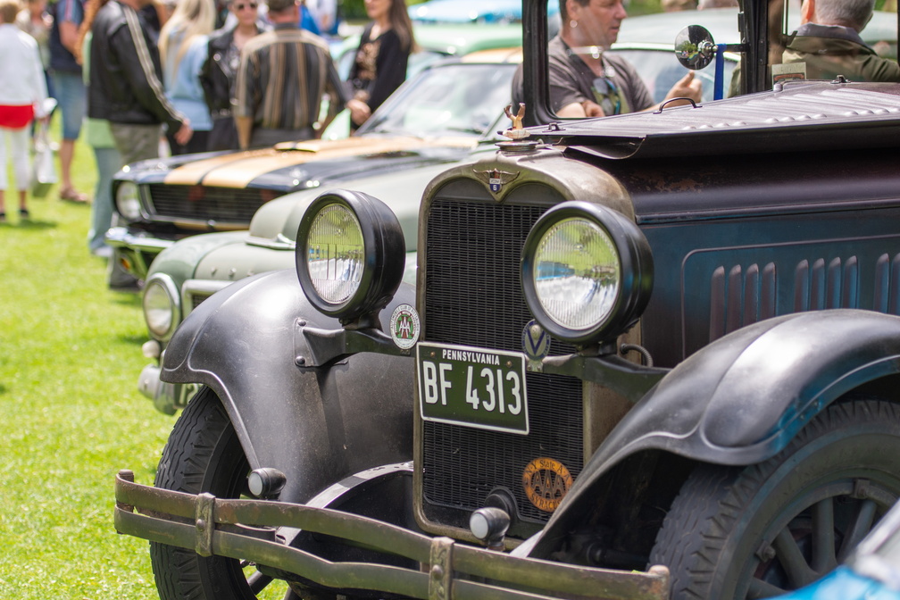 Mem Auto Expo